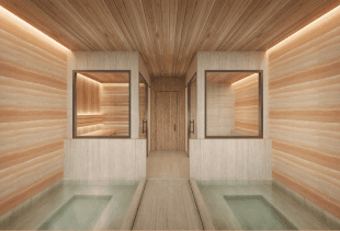 Sauna & Onsen